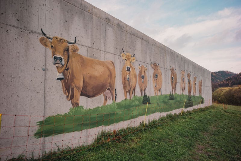 Kuh Kunstwerk auf Betonmauer am Bauernhof Groß-Mayerhof